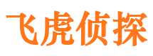 鸡泽侦探公司